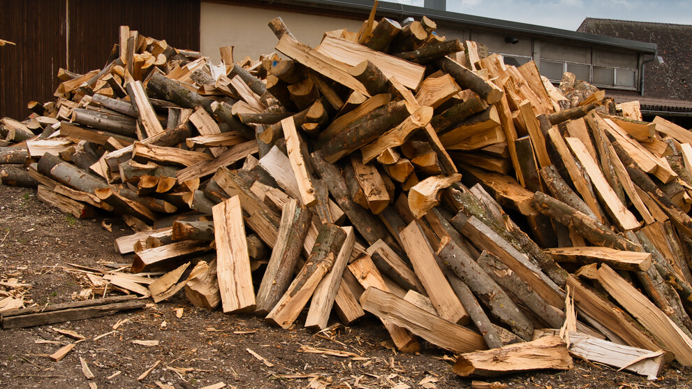 Holz aus der Kapfenburg
