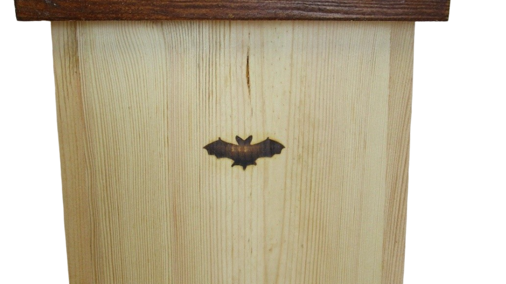 Fledermauskasten Modell Rottenburg