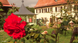 Bild vom Hohrainhof